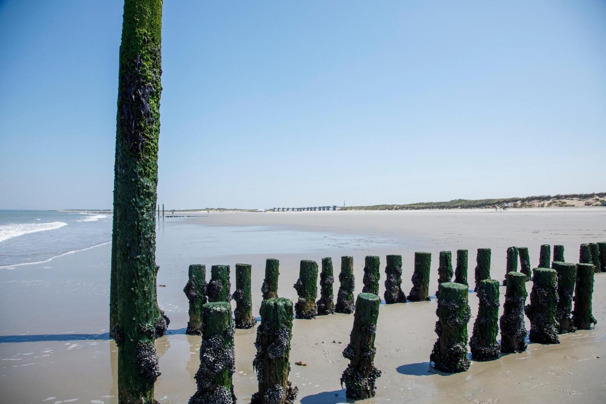 Lodge Zonneweelde, Aan Zee *