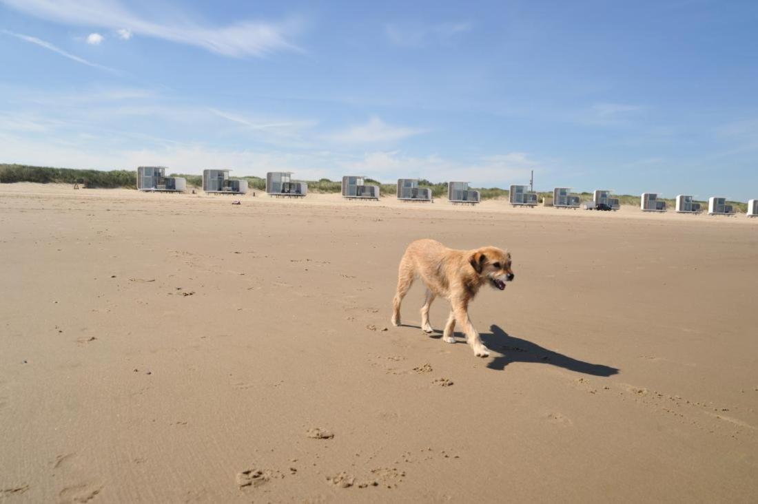 Zonneweelde, Aan Zee * Nieuwvliet